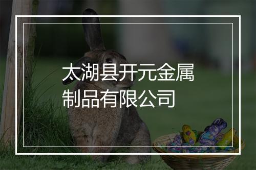 太湖县开元金属制品有限公司