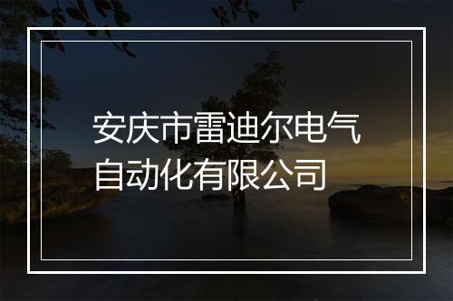 安庆市雷迪尔电气自动化有限公司