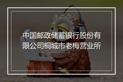 中国邮政储蓄银行股份有限公司桐城市老梅营业所