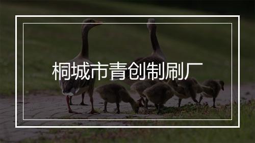 桐城市青创制刷厂
