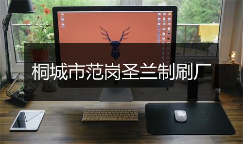 桐城市范岗圣兰制刷厂