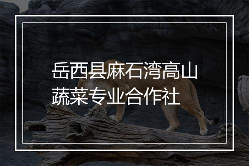 岳西县麻石湾高山蔬菜专业合作社
