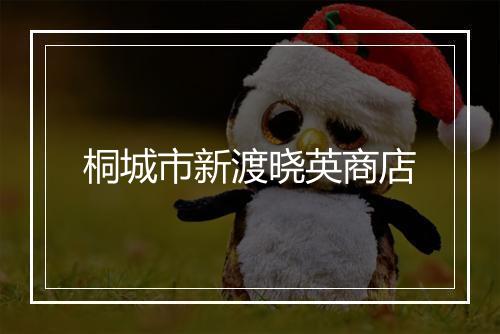 桐城市新渡晓英商店