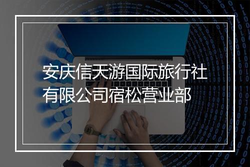 安庆信天游国际旅行社有限公司宿松营业部