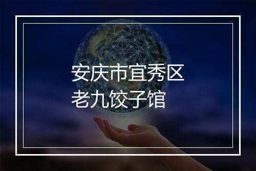 安庆市宜秀区老九饺子馆