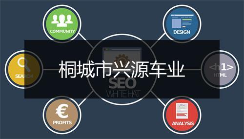桐城市兴源车业