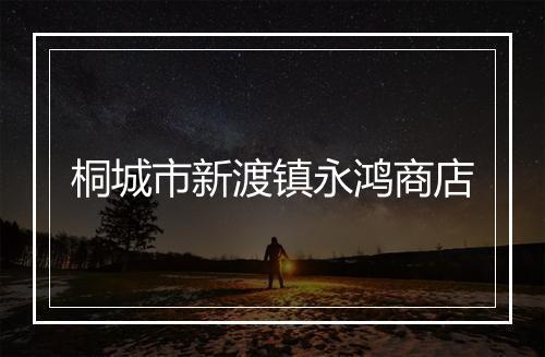 桐城市新渡镇永鸿商店