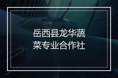 岳西县龙华蔬菜专业合作社