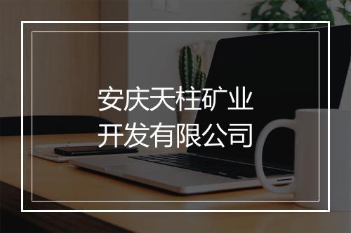 安庆天柱矿业开发有限公司