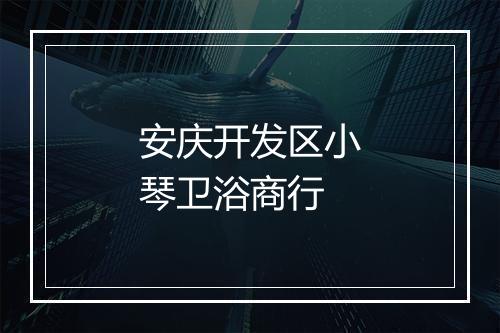安庆开发区小琴卫浴商行