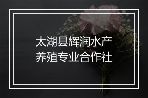太湖县辉润水产养殖专业合作社