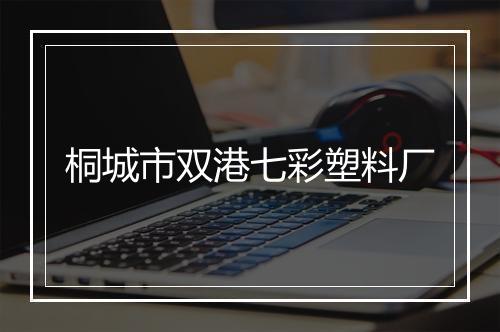 桐城市双港七彩塑料厂