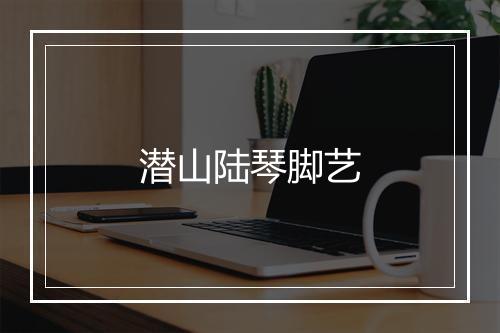 潜山陆琴脚艺