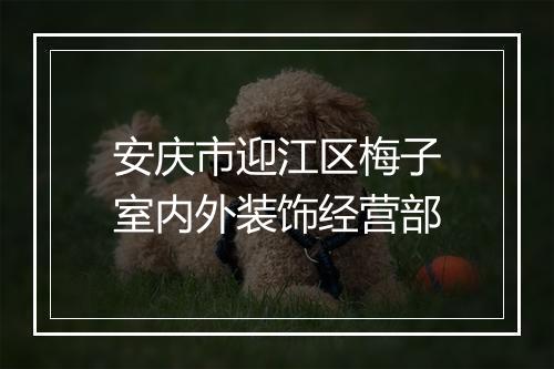安庆市迎江区梅子室内外装饰经营部
