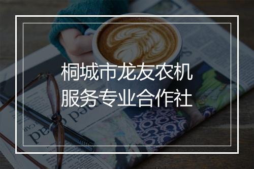 桐城市龙友农机服务专业合作社