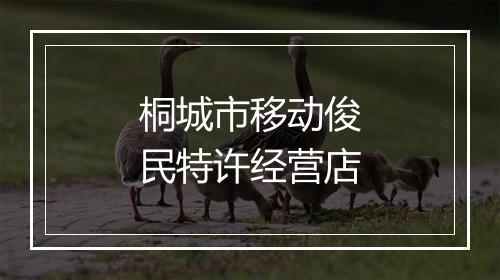 桐城市移动俊民特许经营店