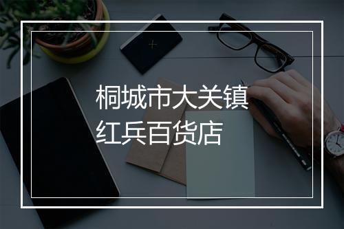 桐城市大关镇红兵百货店