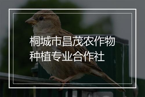 桐城市昌茂农作物种植专业合作社