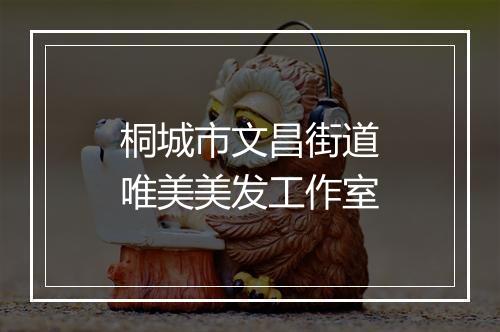 桐城市文昌街道唯美美发工作室