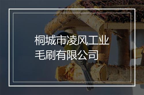 桐城市凌风工业毛刷有限公司