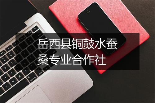 岳西县铜鼓水蚕桑专业合作社