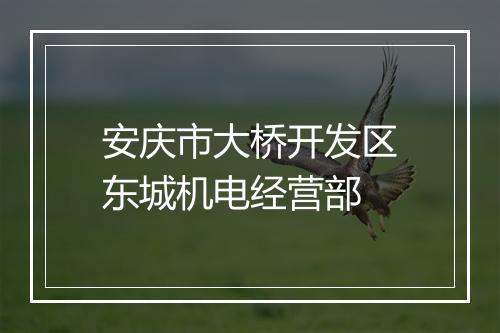 安庆市大桥开发区东城机电经营部