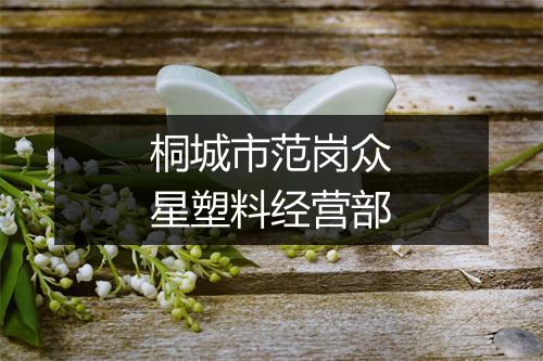桐城市范岗众星塑料经营部