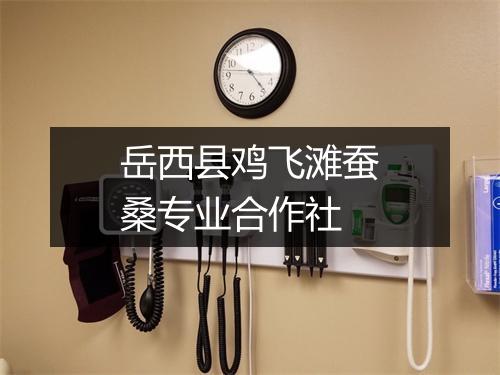 岳西县鸡飞滩蚕桑专业合作社