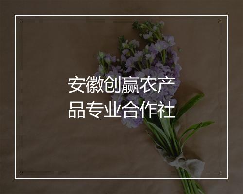 安徽创赢农产品专业合作社