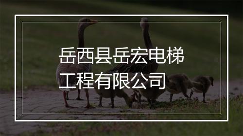 岳西县岳宏电梯工程有限公司