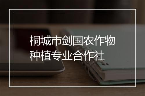 桐城市剑国农作物种植专业合作社