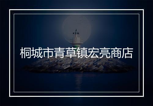 桐城市青草镇宏亮商店