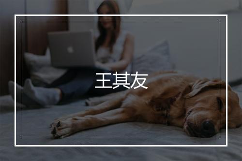 王其友