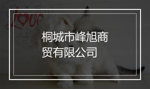桐城市峰旭商贸有限公司