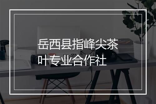 岳西县指峰尖茶叶专业合作社