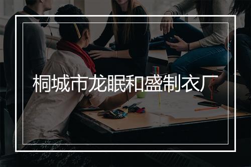 桐城市龙眠和盛制衣厂