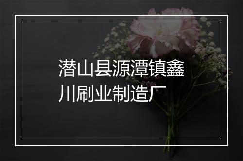潜山县源潭镇鑫川刷业制造厂