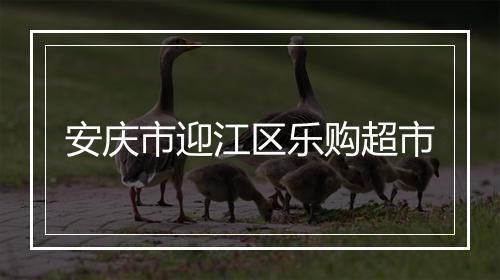安庆市迎江区乐购超市