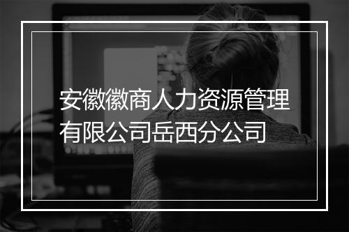 安徽徽商人力资源管理有限公司岳西分公司