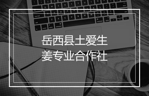 岳西县土爱生姜专业合作社
