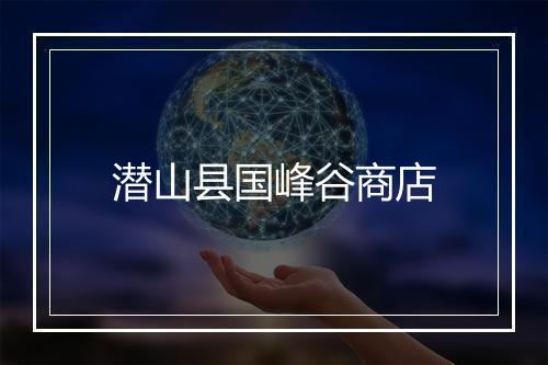 潜山县国峰谷商店