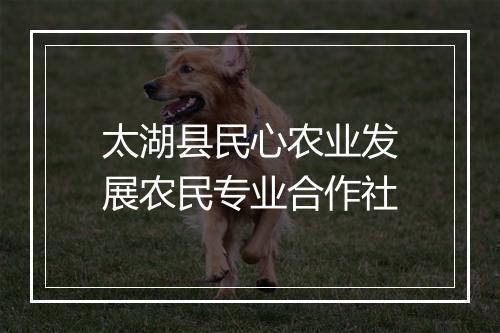 太湖县民心农业发展农民专业合作社