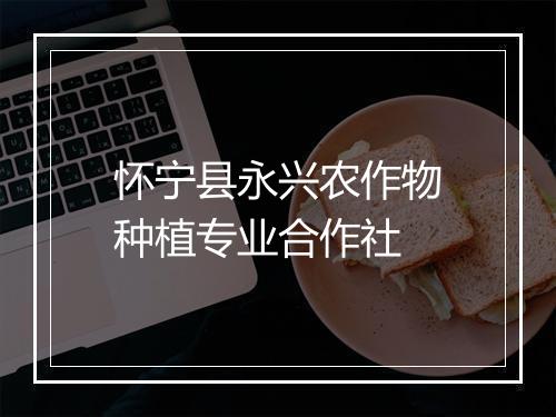 怀宁县永兴农作物种植专业合作社
