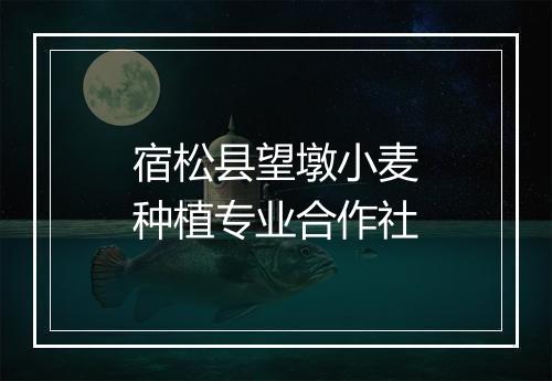 宿松县望墩小麦种植专业合作社