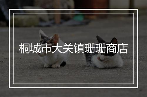 桐城市大关镇珊珊商店