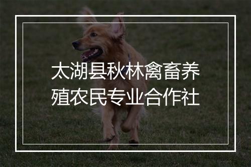太湖县秋林禽畜养殖农民专业合作社