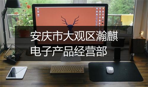 安庆市大观区瀚麒电子产品经营部