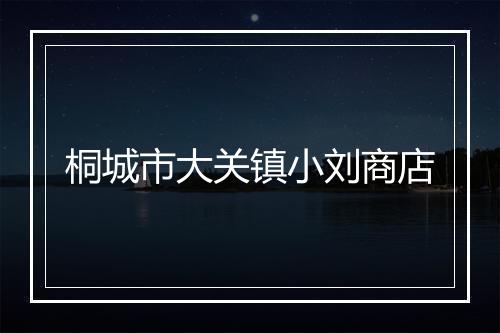 桐城市大关镇小刘商店