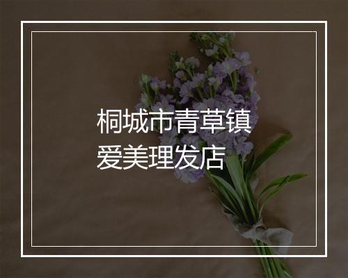 桐城市青草镇爱美理发店
