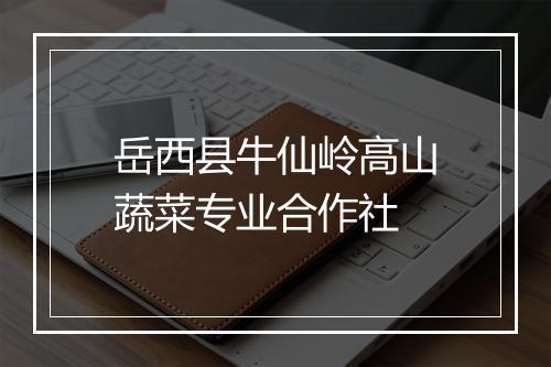 岳西县牛仙岭高山蔬菜专业合作社